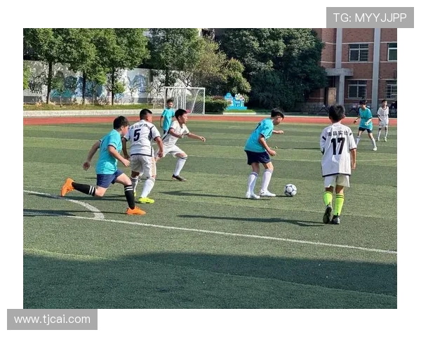 足球球星小鹿逐梦绿茵场展现非凡实力点燃无数球迷热情